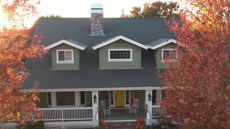 Best Roof Moss and Algae Removal  in Bellevue, OH